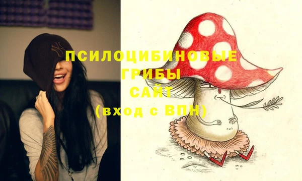 ПСИЛОЦИБИНОВЫЕ ГРИБЫ Абинск
